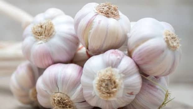 10-health-benefits-of-garlic-that-you-did-not-know