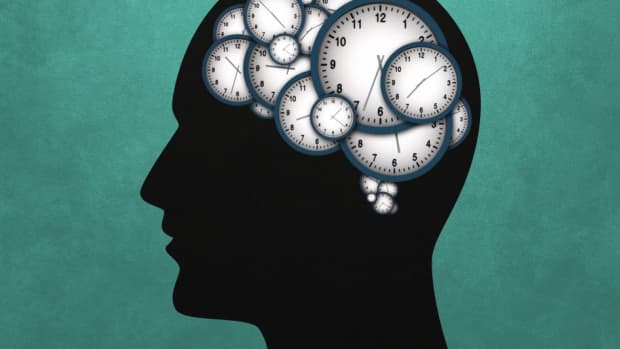 how-does-the-brain-process-time