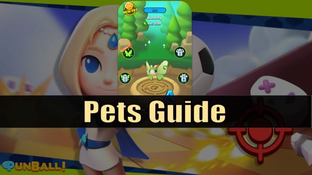 punball-pets-guide