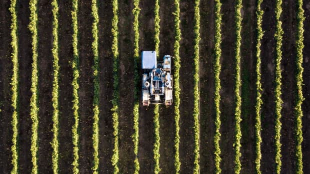 eight-predictions-about-the-future-of-agriculture