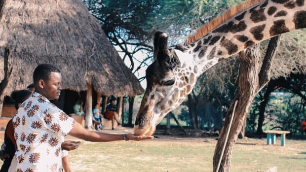 8-things-you-must-try-as-a-tourist-in-africa
