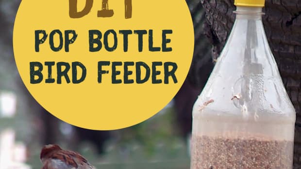 how-to-make-bird-feeders-from-recycled-plastic-containers