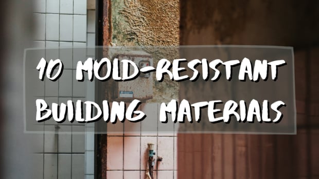 top-mold-resistant-building-materials