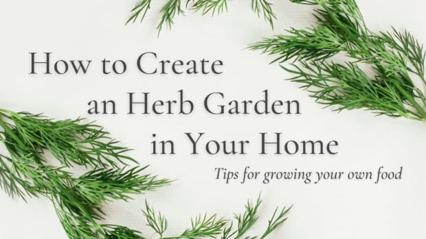 how-to-create-an-herb-garden-in-your-home