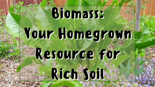 biomass-your-homegrown-resource-for-rich-soil