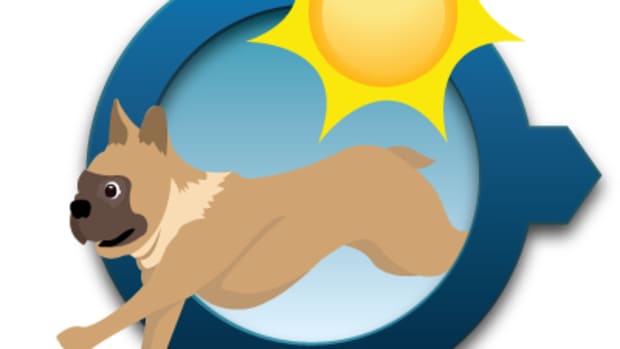 learn-about-heat-exhaustion-and-heatstroke-in-dogs-during-hot-summers