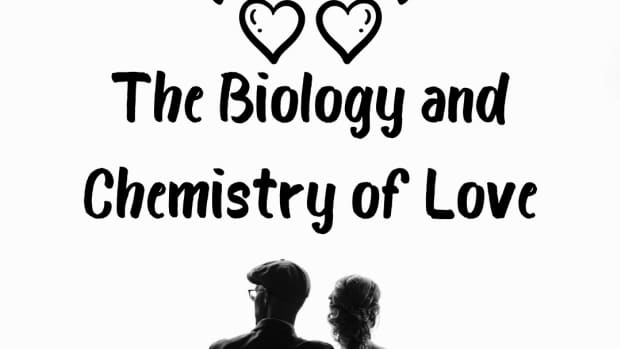 biology-and-chemistry-of-love