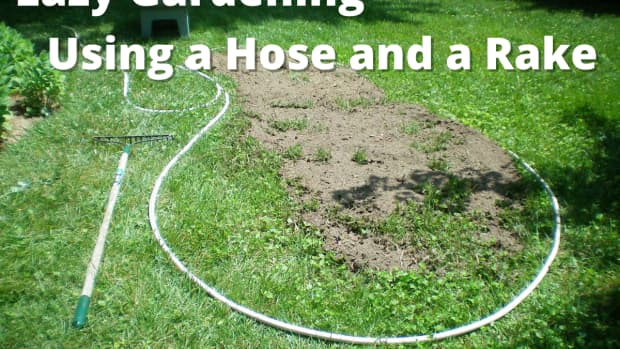 the-no-digging-required-garden