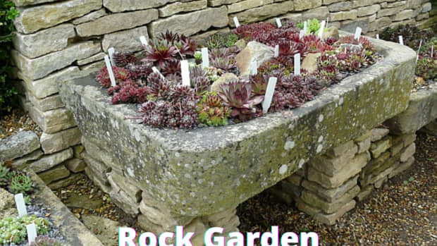 container-rock-garden