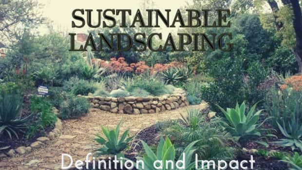 the-sustainable-landscape-and-how-to-design-it