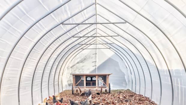 how-to-build-a-greenhouse-with-pvc-greenhouse-construction-for-low-income-people