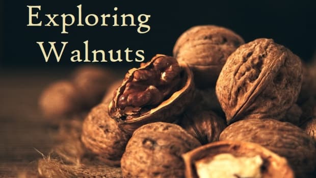 exploring-walnuts-facts-nutrition-recipes-and-trivia