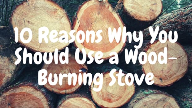 ten-reasons-to-burn-wood