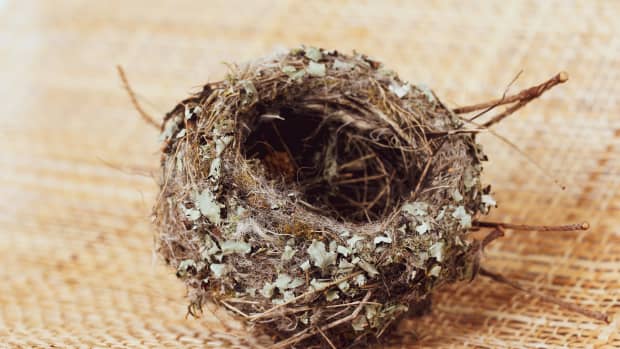 what-is-nesting-during-pregnancy