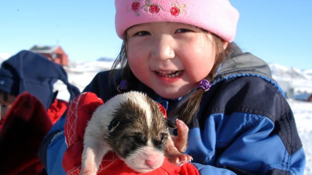 danish-mistreatment-of-inuit-children