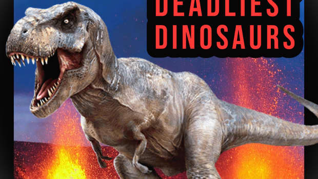 the-top-10-deadliest-dinosaurs