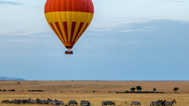 best-places-to-see-kenyan-wildlife-go-safari-kenya