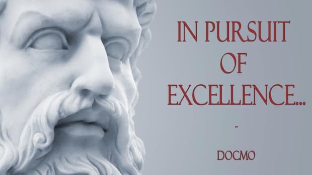 in-pursuit-of-excellence