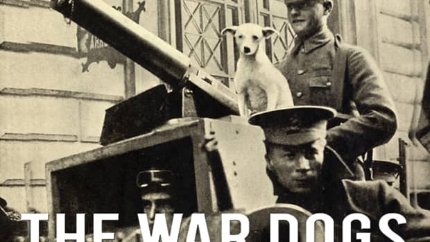 11-working-dog-breeds-that-served-in-world-war-i