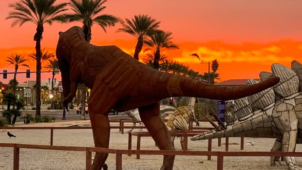 photography-dinos-in-the-dawn
