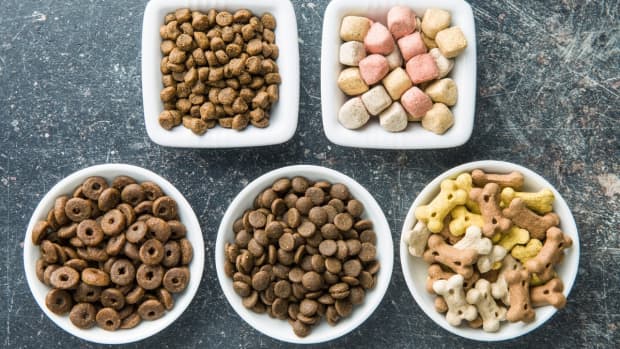 can-you-mix-dog-food-brands