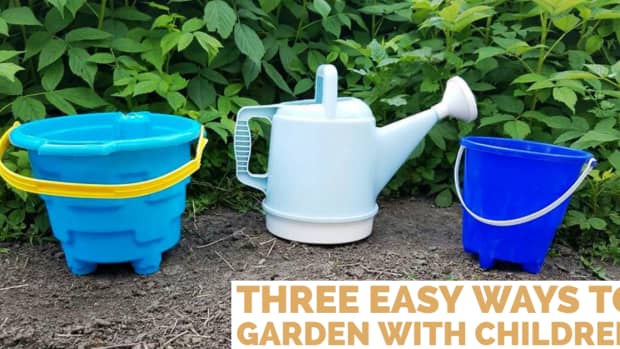 three-ways-to-garden-with-children