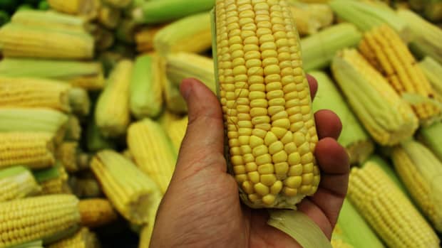yellow-corn-benefits-the-most-important-and-best-benefits-of-this-healthy-food