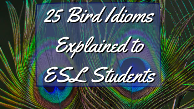 25-bird-idioms-explained-to-english-as-a-second-language-learners