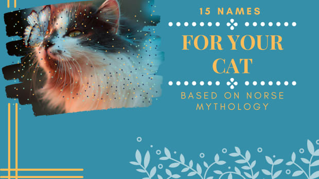 15-names-for-your-cat-based-on-norse-mythology