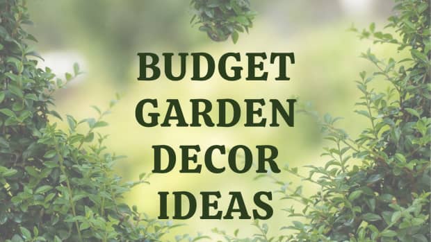 backyard-decor-ideas-on-a-budget