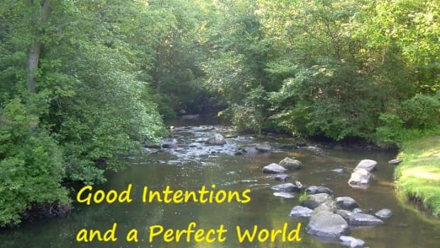 good-intentions-and-a-perfect-world