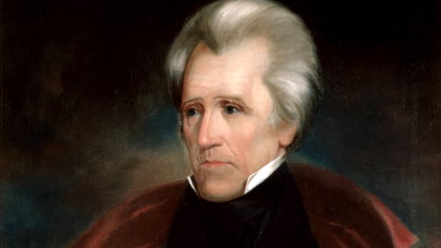 andrew-jackson-proof-that-insanity-gets-you-far-in-life