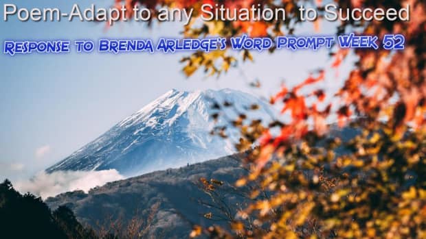 poem-adapt-to-any-situation-to-succeed-response-to-brenda-arledges-word-prompt-week-52-adapt