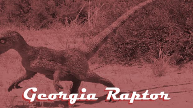 top-10-cryptids-still-lying-low-in-georgia