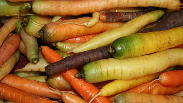 nutritious-carrots-multiple-course-recipes