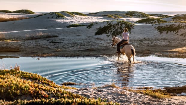 everything-to-know-about-horseback-riding