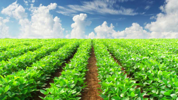 7-myths-in-agribusiness-management