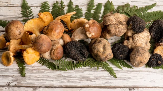 truffles-the-rare-delicacy-hidden-by-earth