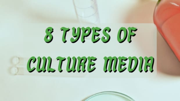 types-of-culture-media