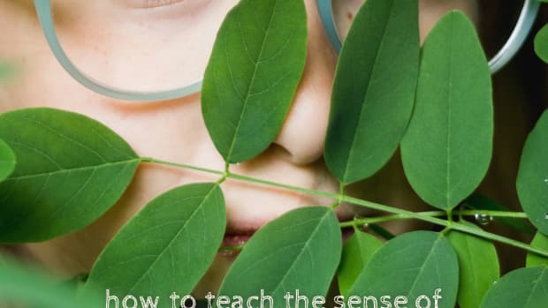 teaching-kids-sense-of-sight-the-five-senses