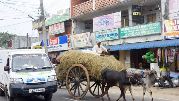 current-situation-and-tourism-in-srilanka