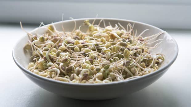 add-some-spring-to-your-meals-with-home-grown-sprouts