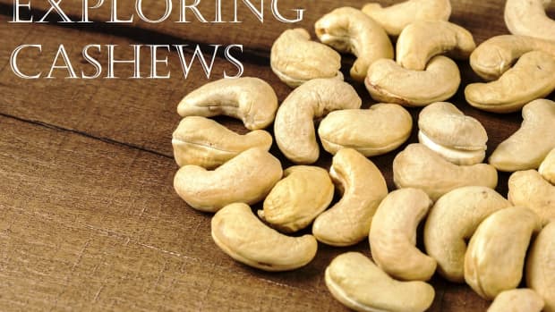 exploring-cashews