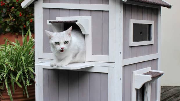 where-to-find-a-waterproof-outdoor-cat-house