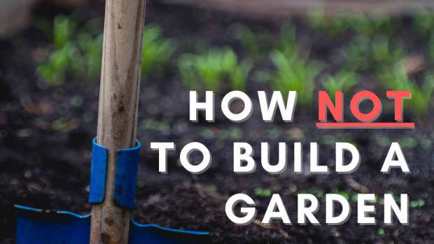 how-not-to-build-a-garden-box-an-absolute-beginner-guide