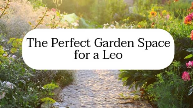 how-to-design-your-garden-like-a-leo