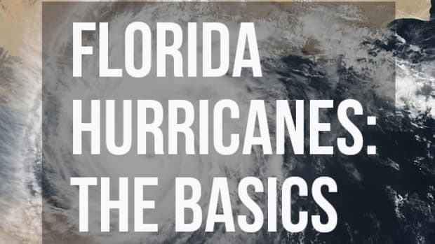 hurricanes-in-florida-a-beginners-guide