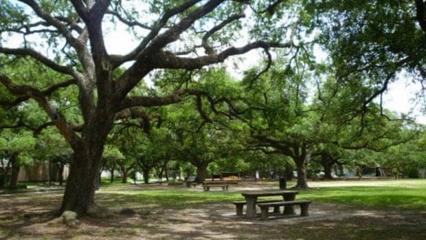 photos-of-fleming-park-in-houston-texas