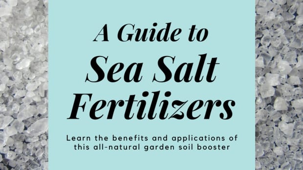 sea-salt-fertilizers-important-organic-gardening-discovery