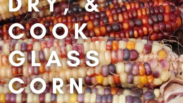 beautiful-glass-gem-corn